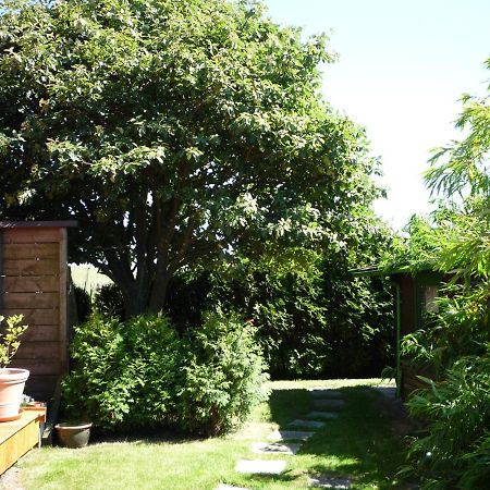 Villa Ferienhaus Deichstern Butjadingen Exterior foto